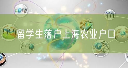 留学生落户上海农业户口