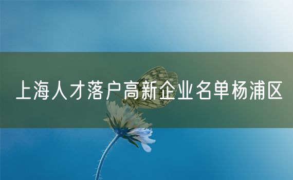 上海人才落户高新企业名单杨浦区