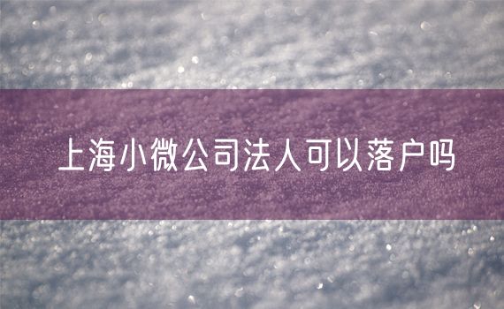 上海小微公司法人可以落户吗