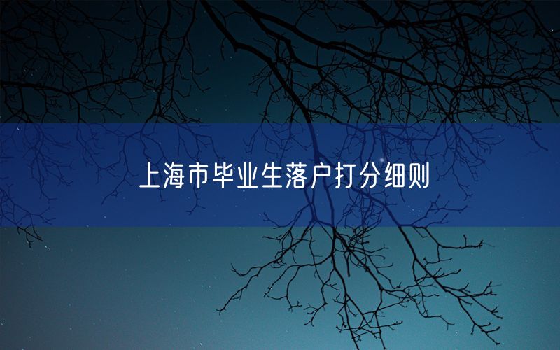 上海市毕业生落户打分细则