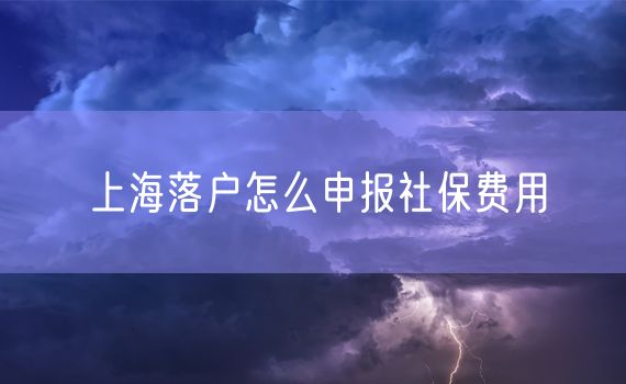 上海落户怎么申报社保费用