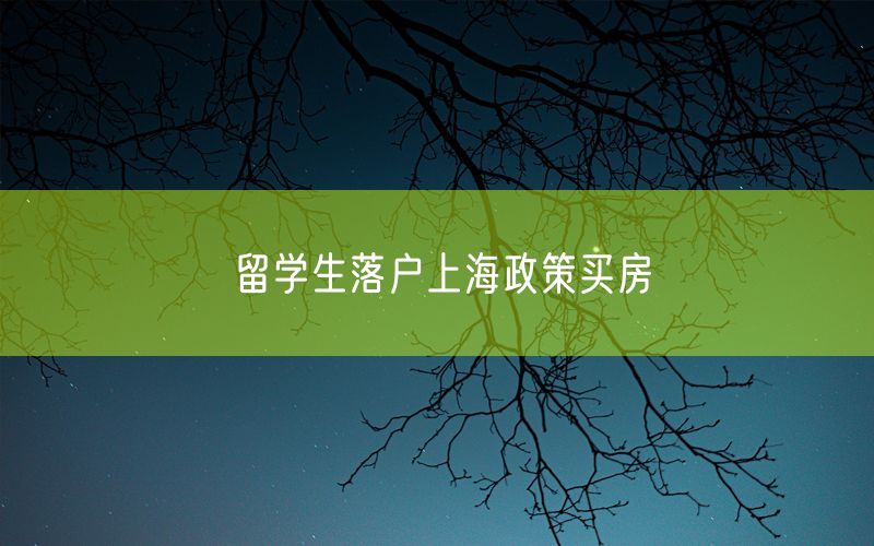 留学生落户上海政策买房