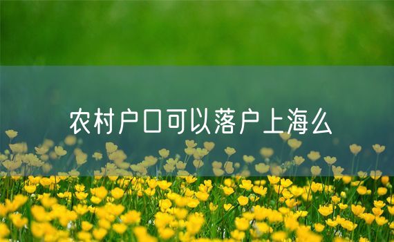 农村户口可以落户上海么