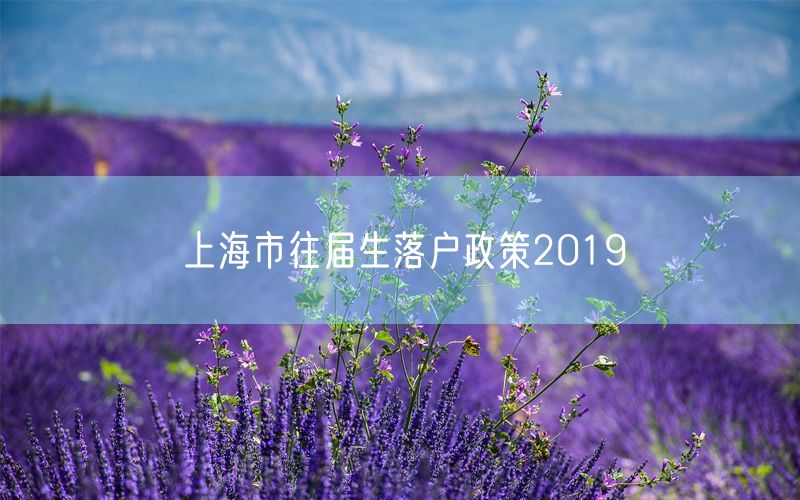 上海市往届生落户政策2019