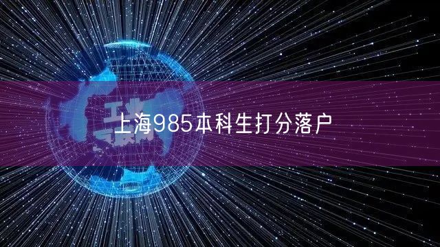 上海985本科生打分落户