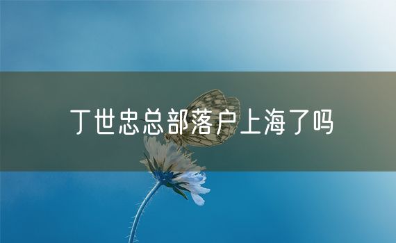 丁世忠总部落户上海了吗