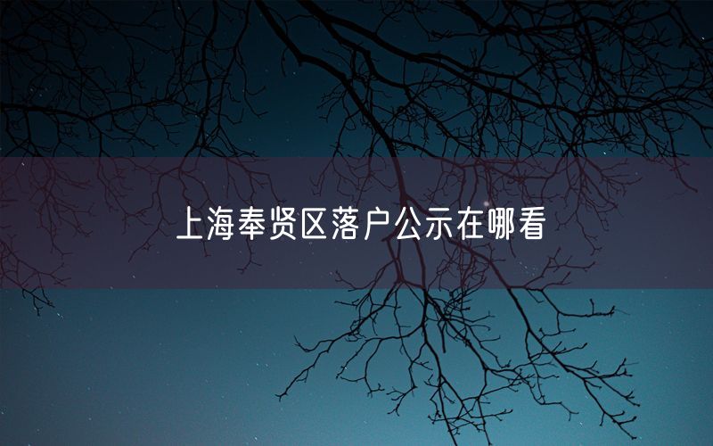 上海奉贤区落户公示在哪看