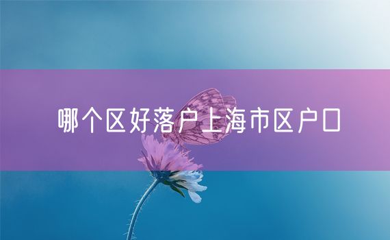 哪个区好落户上海市区户口