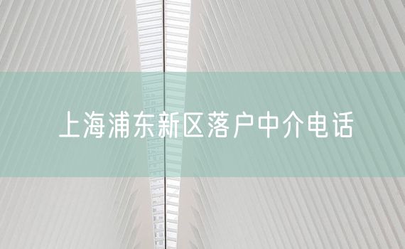 上海浦东新区落户中介电话