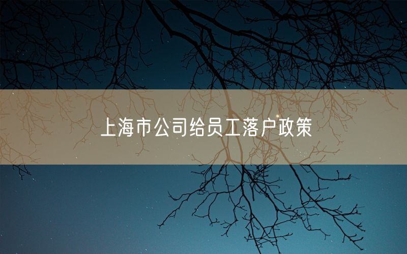 上海市公司给员工落户政策