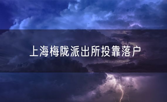 上海梅陇派出所投靠落户