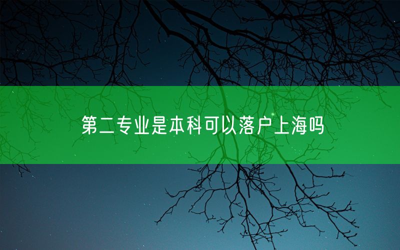 第二专业是本科可以落户上海吗