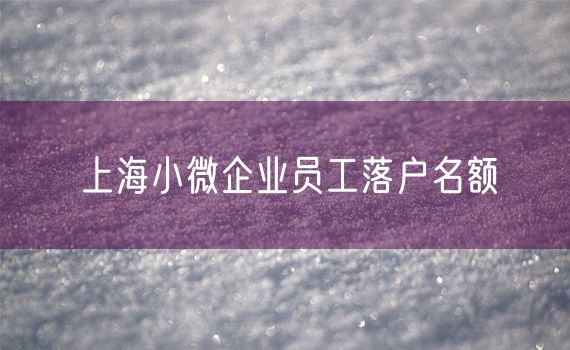 上海小微企业员工落户名额