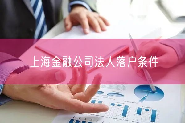 上海金融公司法人落户条件