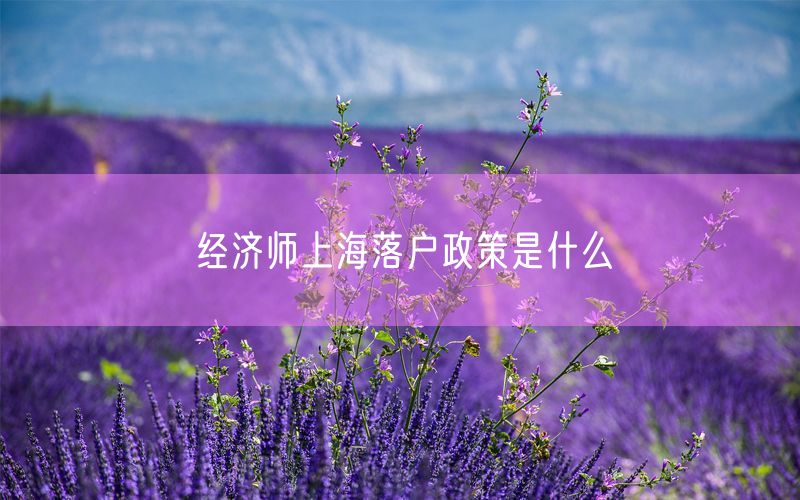 经济师上海落户政策是什么