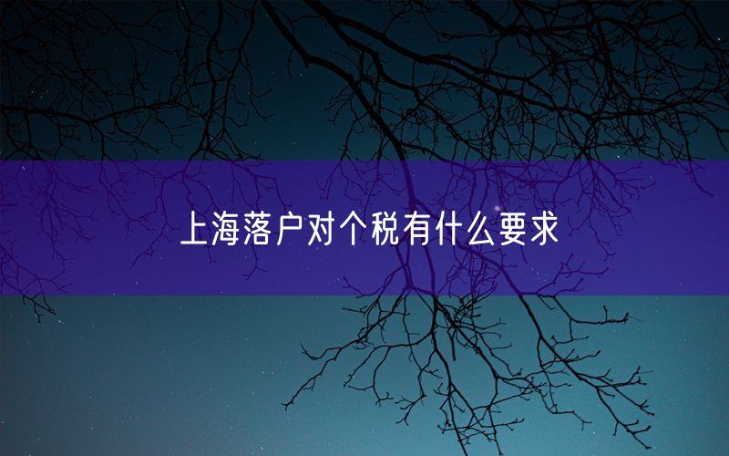 上海落户对个税有什么要求