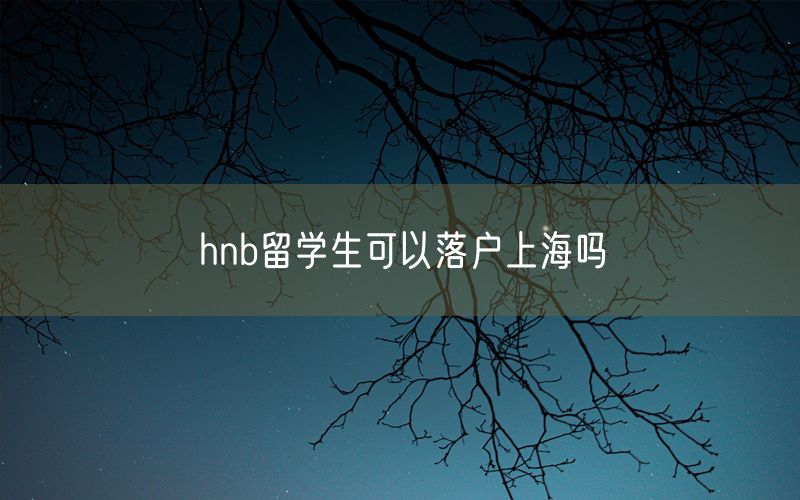 hnb留学生可以落户上海吗