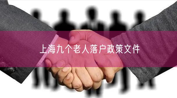 上海九个老人落户政策文件