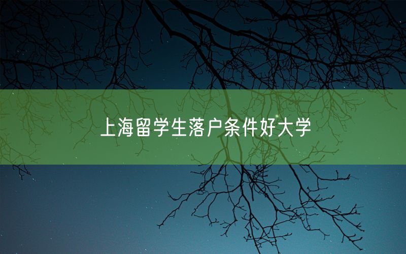 上海留学生落户条件好大学