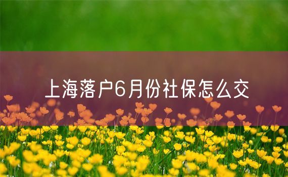 上海落户6月份社保怎么交