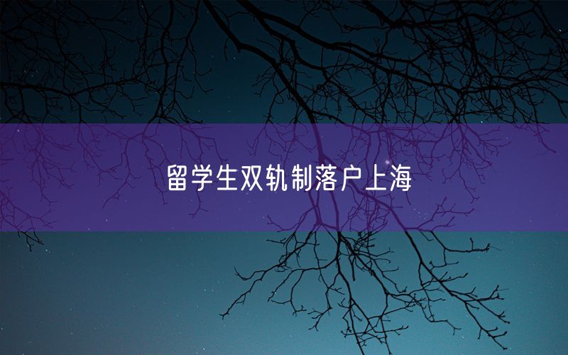 留学生双轨制落户上海