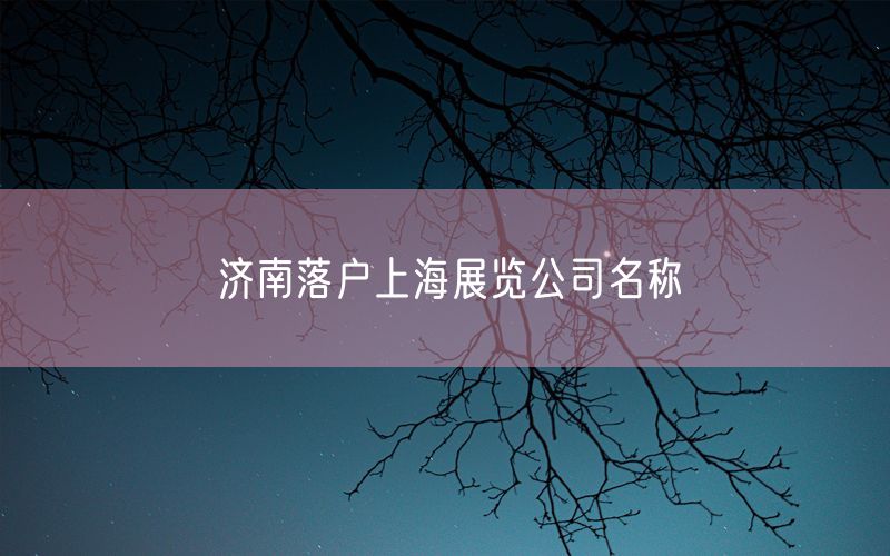 济南落户上海展览公司名称