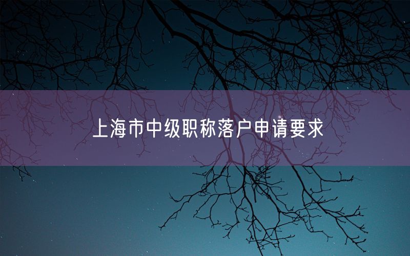 上海市中级职称落户申请要求