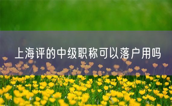 上海评的中级职称可以落户用吗