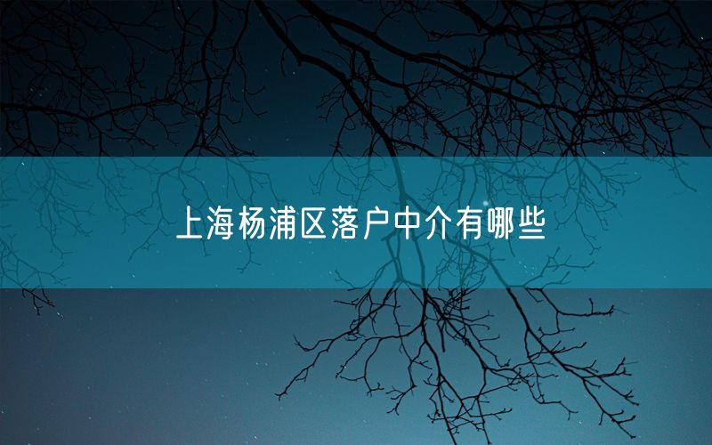 上海杨浦区落户中介有哪些