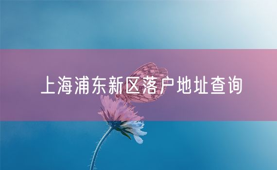 上海浦东新区落户地址查询