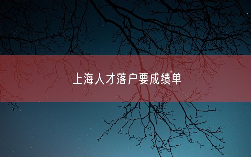 上海人才落户要成绩单