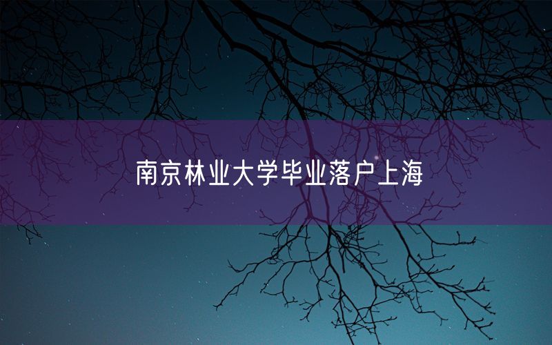 南京林业大学毕业落户上海