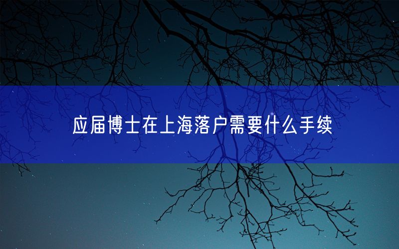 应届博士在上海落户需要什么手续