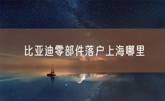 比亚迪零部件落户上海哪里