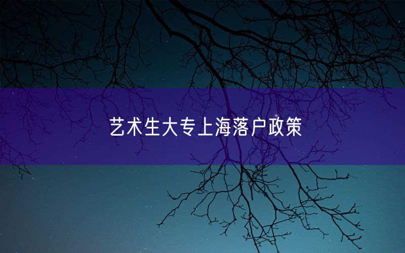 艺术生大专上海落户政策