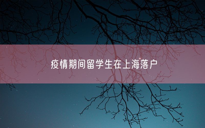 疫情期间留学生在上海落户