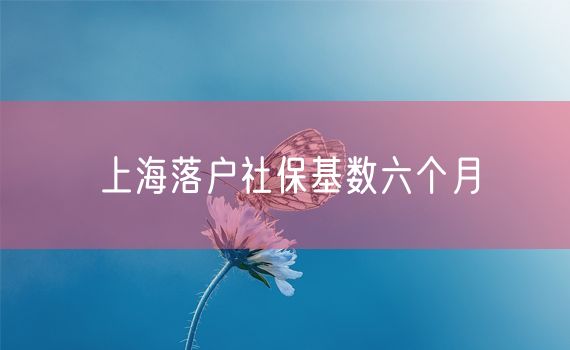 上海落户社保基数六个月