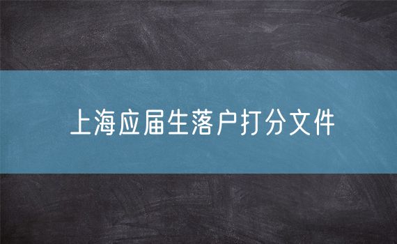 上海应届生落户打分文件