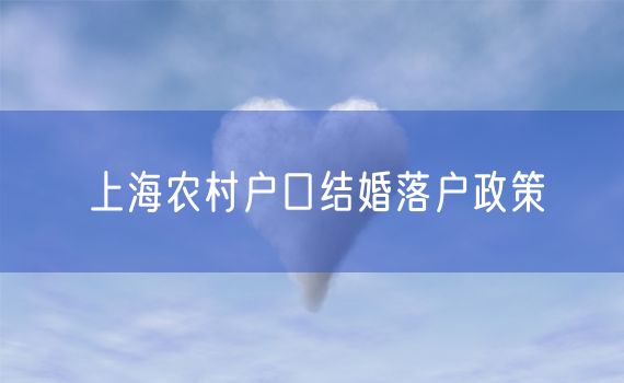 上海农村户口结婚落户政策