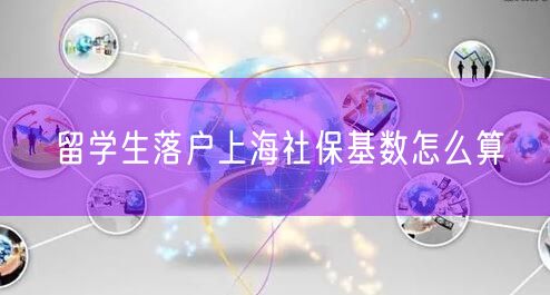 留学生落户上海社保基数怎么算