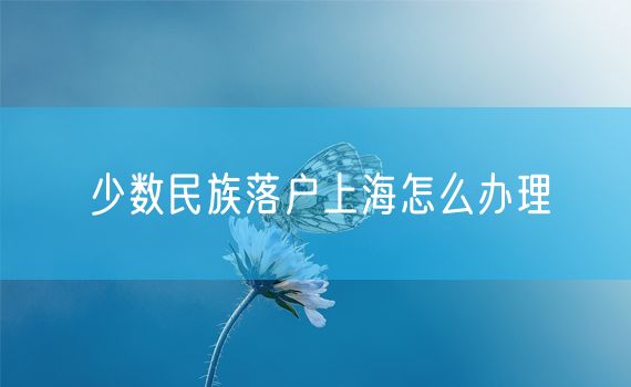 少数民族落户上海怎么办理