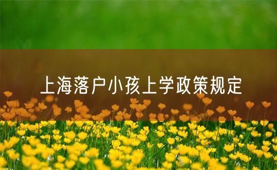 上海落户小孩上学政策规定