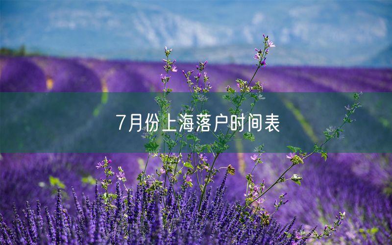 7月份上海落户时间表