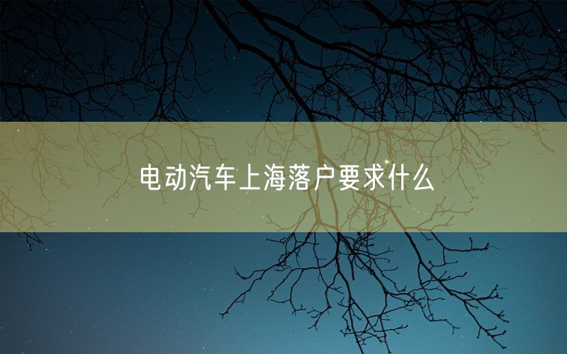 电动汽车上海落户要求什么