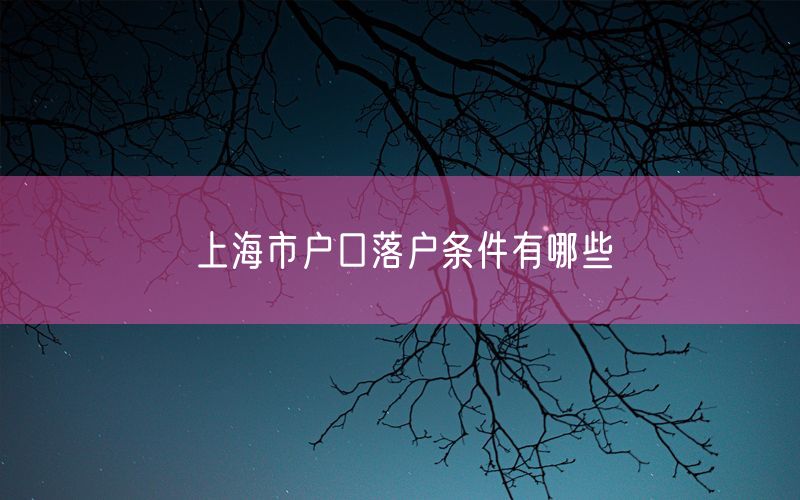 上海市户口落户条件有哪些