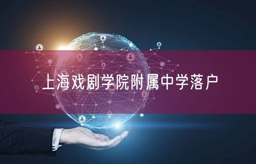 上海戏剧学院附属中学落户