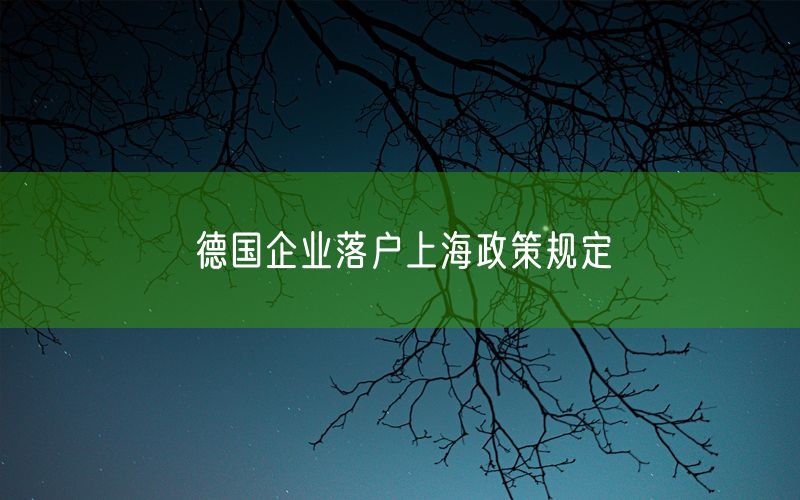 德国企业落户上海政策规定