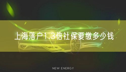 上海落户1.3倍社保要缴多少钱