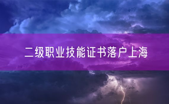 二级职业技能证书落户上海