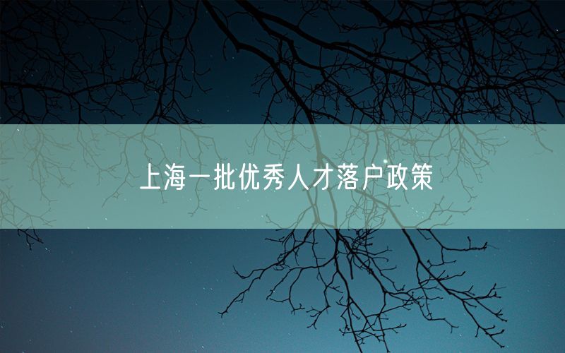 上海一批优秀人才落户政策